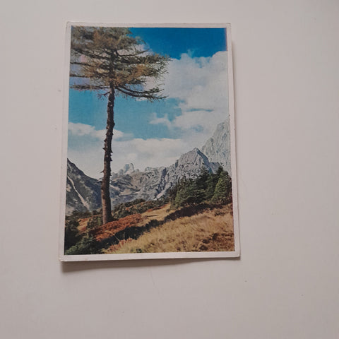 AK Im Dachsteingebiet.