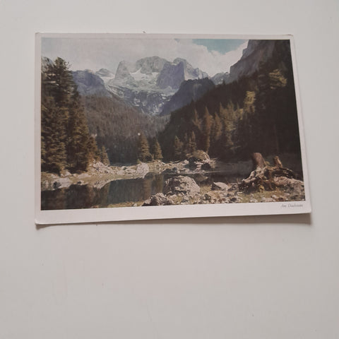 AK Blick auf den Dachstein.