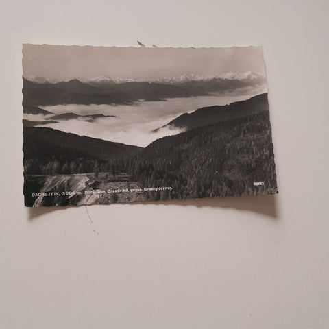 AK Dachstein Blick vom Brandriedl gegen Grossglockner.