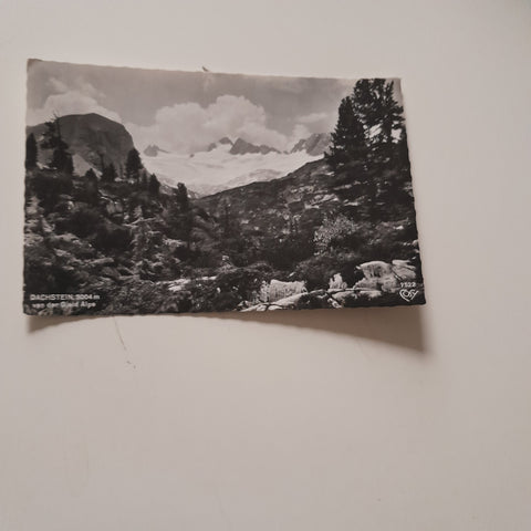 AK Dachstein vom der Gjaidalpe.