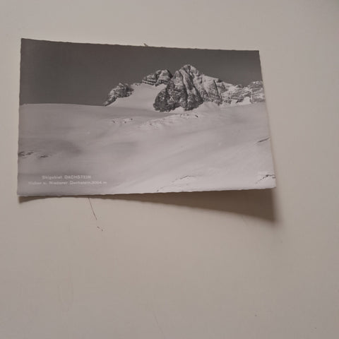 AK Skigebiet Dachstein Hoher u. Niederer Dachstein.