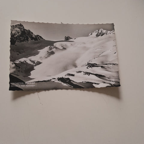 AK Dachstein mit Dirndln u. Hoh. Gjaidstein.