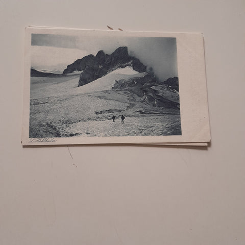 AK Majas Schleier (Dachstein) (Foto L. Hallhuber)