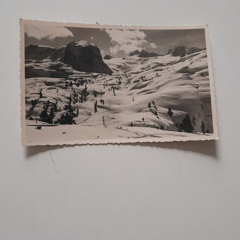 AK Dachsteinblick.
