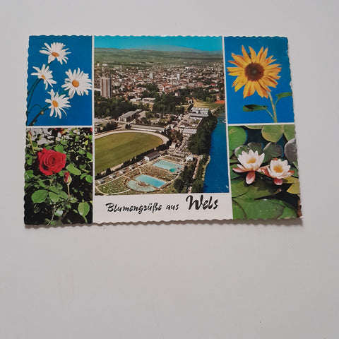 AK Blumengrüße aus Wels.