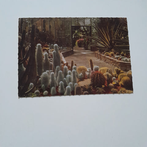 AK Wels. Volksgarten. Kakteenhaus.