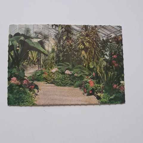 AK Wels. Volksgarten. Kakteenhaus.