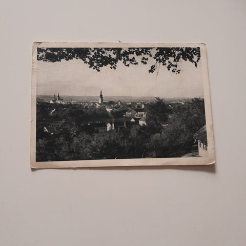 AK Wels. Panorama.