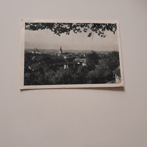 AK Wels. Panorama.