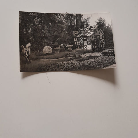 AK Wels. Volksgarten.