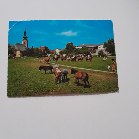 AK Reiterdorf Ampflwang im Hausruckwald.