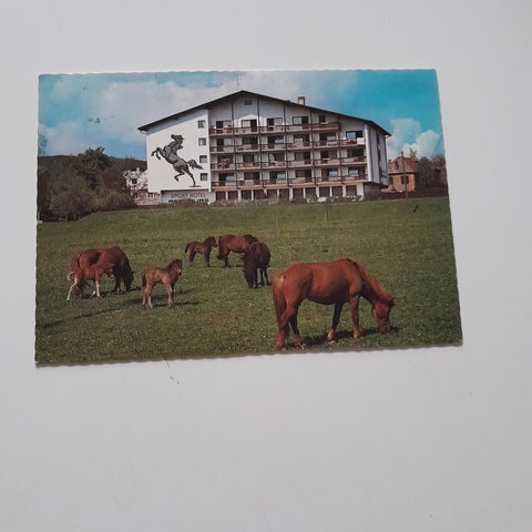 AK Reiterdorf Ampflwang im Hausruckwald. Sporthotel Parcours.