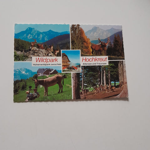AK Wildpark Hochkreut. Höhenwildpark zw. Attersee und Traunsee.