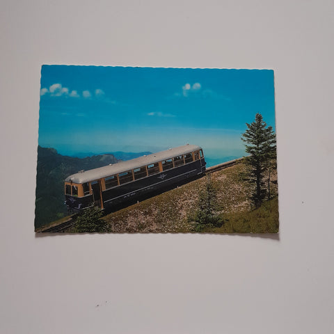 AK Fahrt zum Schafberg.