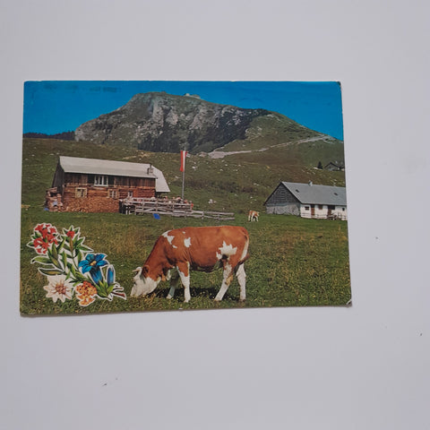 AK Naturfreundehütte mit Blick auf den Schafberg.
