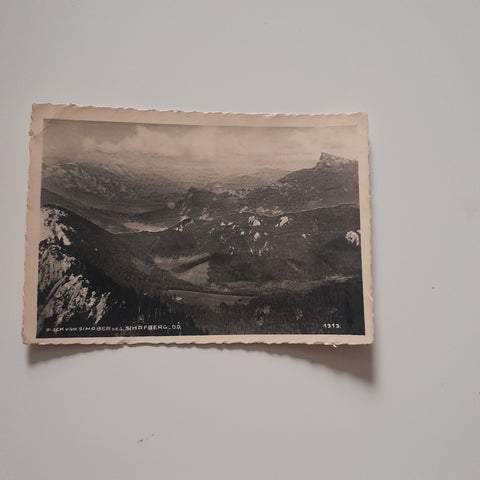 AK Blick vom Schober geg. Schafberg.