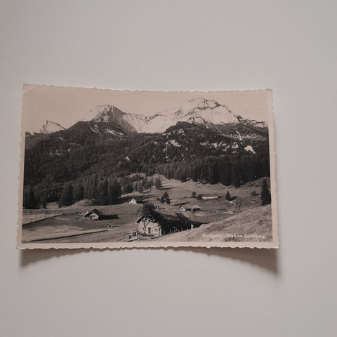 AK Eisenauer Alpe am Schafberg.