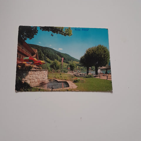 AK Strandhotel Pichl-Auhof am Mondsee.