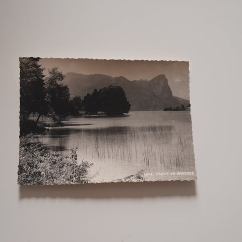 AK Partie am Mondsee.