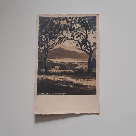 AK Mondsee.