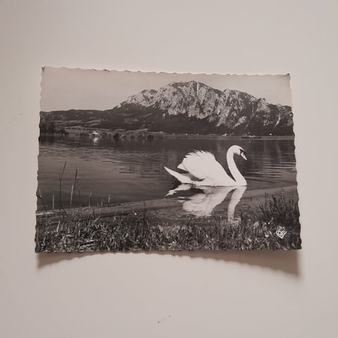 AK Unterach am Attersee mit Höllengebirge.