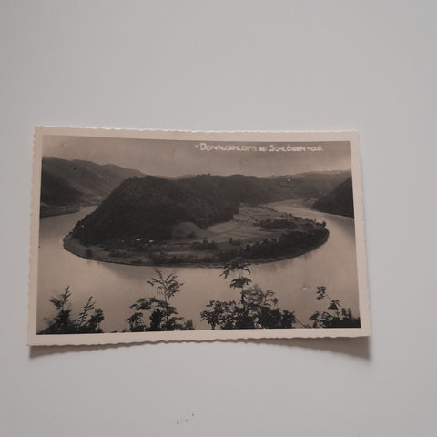 AK Donauschleife bei Schlögen. (1932)