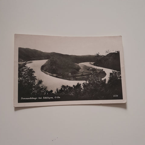 AK Donauschlinge bei Schlögen. (1935)