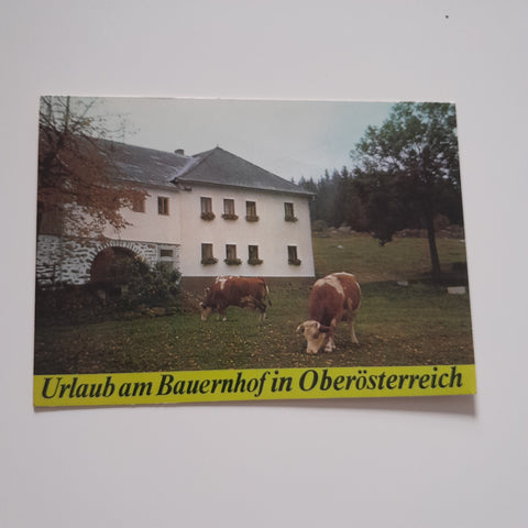 AK Liebenau, Eibenberg 2. Mitter-Eibenberger. Urlaub am Bauernhof. Mühlbacher Ignaz.