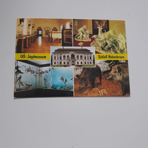 AK St. Florian. Schloss Hohenbrunn. Jagdmuseum.