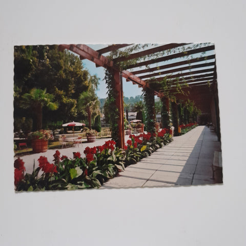 AK Bad Schallerbach. Kurpark.