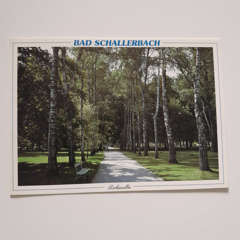 AK Bad Schallerbach. Birkenallee.