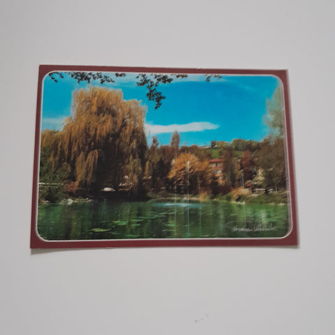 AK Bad Schallerbach. Kleiner Kurpark mit Magdalenaberg.