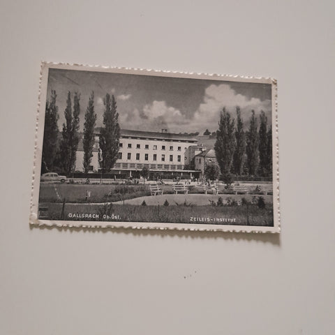 AK Gallspach Institut Zeileis.