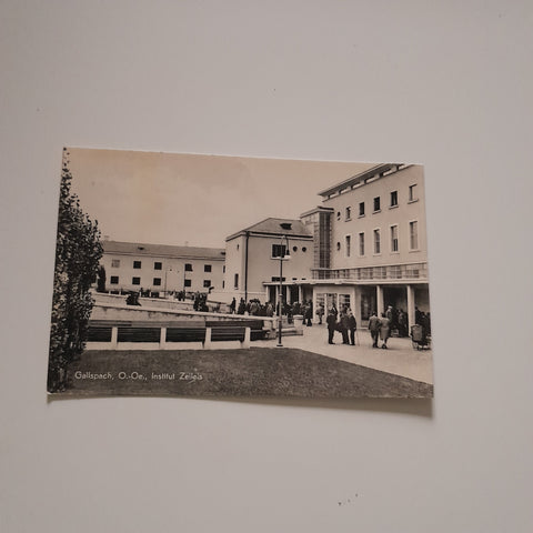 AK Gallspach. Institut Zeileis.