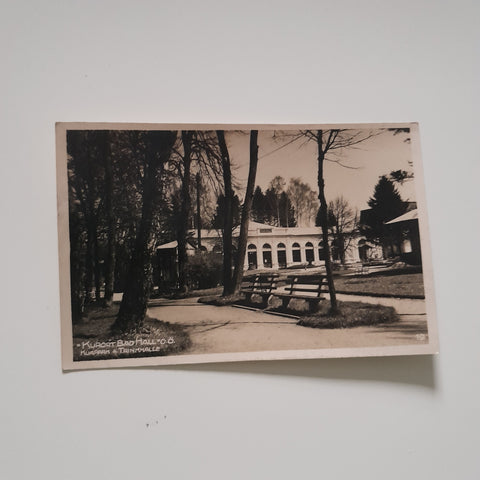 AK Bad Hall. Kurpark Trinkhalle. (1928)
