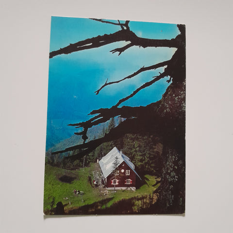 AK Ennser Schutzhaus. Alpkogel bei Großraming. Naturfreunde Enns.