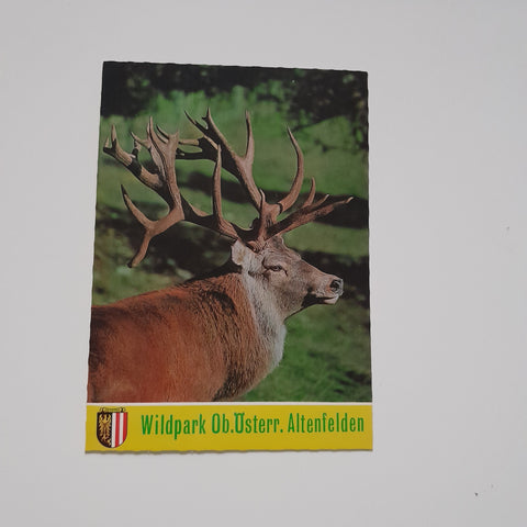 AK Wildpark Altenfelden - Atzesberg im Mühlthal.