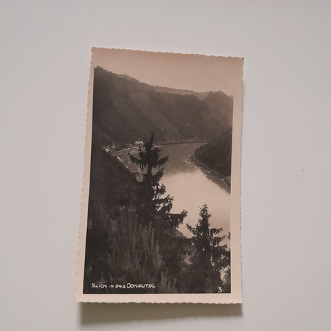 AK Blick in das Donautal. (1934)