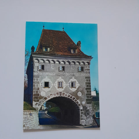 AK Steyr. Schnallentor.