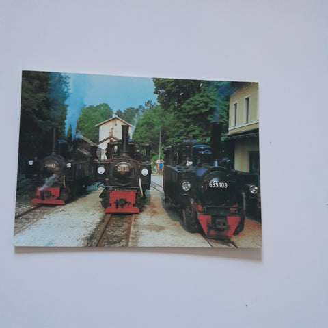 AK Steyr. Steyrtal-Museumsbahn der ÖGEG Lokparade Bhf Steyr-Lokal am 30.7.1989. Lok 298.52, 298.53, 699.103