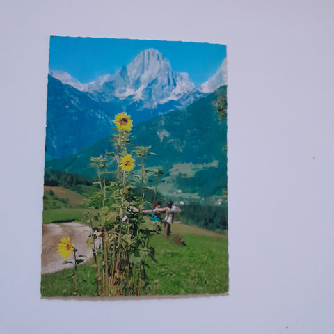 AK Hinterstoder. Blick vom Wartegg auf Spitzmauer.