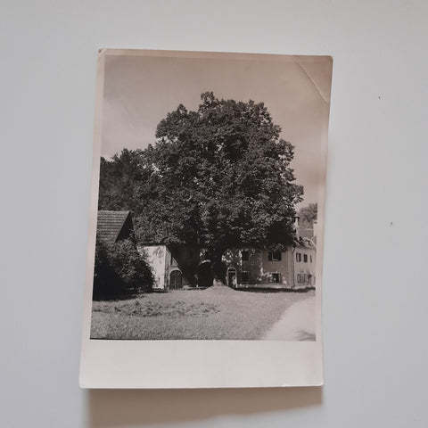 AK Kirchdorf an der Krems. Pfustergut.