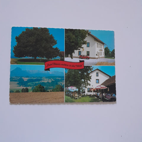 AK Kremsmünster. Gasthaus zum Baum mitten in der Welt. Besitzer I. u. A. Zauner.