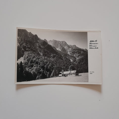 AK Molln. Blumauer Alm gegen Hohen Nock.