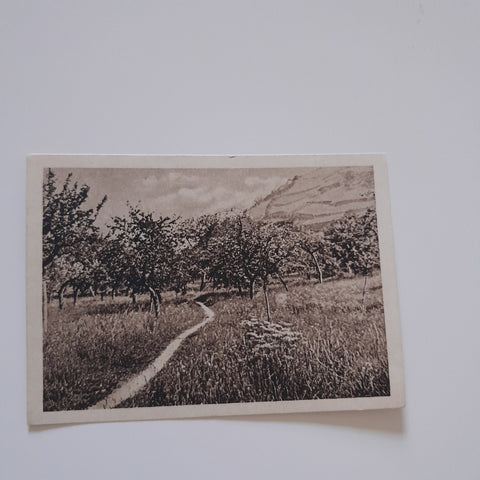 AK Landschaftsmotiv (Verlag: Max Leisgen Spital am Pyhrn)
