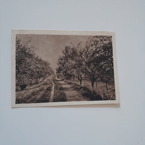 AK Landschaftsmotiv (Verlag: Max Leisgen Spital am Pyhrn)