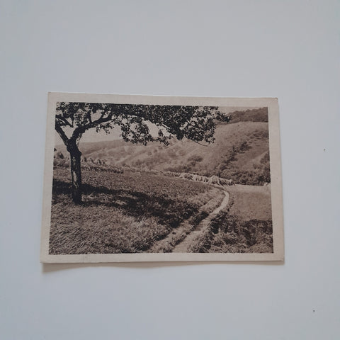 AK Landschaftsmotiv (Verlag: Max Leisgen Spital am Pyhrn)