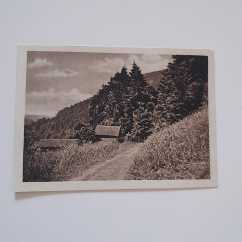 AK Landschaftsmotiv (Verlag: Max Leisgen Spital am Pyhrn)