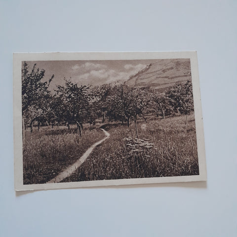 AK Landschaftsmotiv (Verlag: Max Leisgen Spital am Pyhrn)