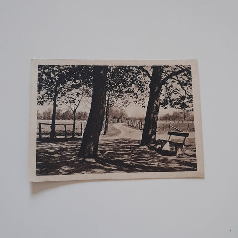 AK Landschaftsmotiv (Verlag: Max Leisgen Spital am Pyhrn)